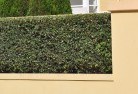 Vine Valehard-landscaping-surfaces-8.jpg; ?>